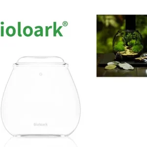 Bioloark Bubble Cup FOUR, Wabi-Kusa Glas Meistverkauft